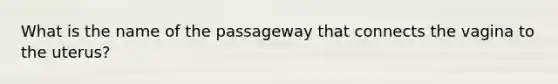 What is the name of the passageway that connects the vagina to the uterus?