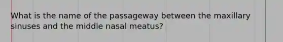 What is the name of the passageway between the maxillary sinuses and the middle nasal meatus?