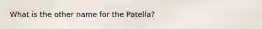 What is the other name for the Patella?