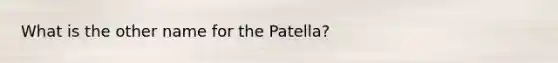 What is the other name for the Patella?