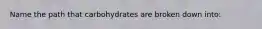 Name the path that carbohydrates are broken down into: