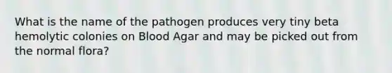 What is the name of the pathogen produces very tiny beta hemolytic colonies on Blood Agar and may be picked out from the normal flora?