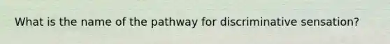 What is the name of the pathway for discriminative sensation?