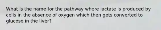 What is the name for the pathway where lactate is produced by cells in the absence of oxygen which then gets converted to glucose in the liver?