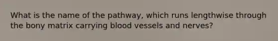 What is the name of the pathway, which runs lengthwise through the bony matrix carrying blood vessels and nerves?