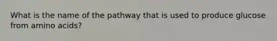 What is the name of the pathway that is used to produce glucose from amino acids?