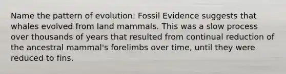 Name the pattern of evolution: Fossil Evidence suggests that whales evolved from land mammals. This was a slow process over thousands of years that resulted from continual reduction of the ancestral mammal's forelimbs over time, until they were reduced to fins.