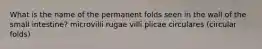What is the name of the permanent folds seen in the wall of the small intestine? microvilli rugae villi plicae circulares (circular folds)