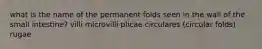 what is the name of the permanent folds seen in the wall of the small intestine? villi microvilli plicae circulares (circular folds) rugae