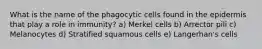 What is the name of the phagocytic cells found in the epidermis that play a role in immunity? a) Merkel cells b) Arrector pili c) Melanocytes d) Stratified squamous cells e) Langerhan's cells