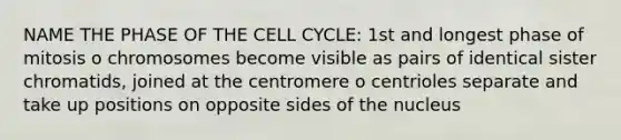 NAME THE PHASE OF THE CELL CYCLE: 1st and longest phase of mitosis o chromosomes become visible as pairs of identical sister chromatids, joined at the centromere o centrioles separate and take up positions on opposite sides of the nucleus