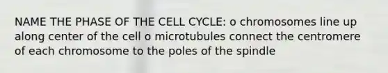 NAME THE PHASE OF THE CELL CYCLE: o chromosomes line up along center of the cell o microtubules connect the centromere of each chromosome to the poles of the spindle