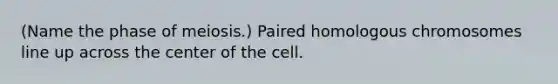 (Name the phase of meiosis.) Paired homologous chromosomes line up across the center of the cell.