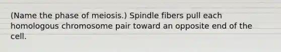 (Name the phase of meiosis.) Spindle fibers pull each homologous chromosome pair toward an opposite end of the cell.