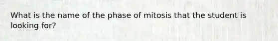 What is the name of the phase of mitosis that the student is looking for?