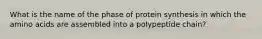 What is the name of the phase of protein synthesis in which the amino acids are assembled into a polypeptide chain?