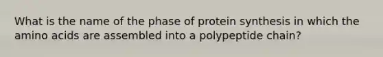 What is the name of the phase of protein synthesis in which the amino acids are assembled into a polypeptide chain?