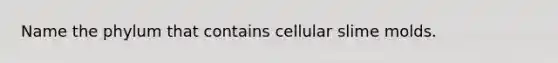 Name the phylum that contains cellular slime molds.