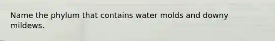 Name the phylum that contains water molds and downy mildews.