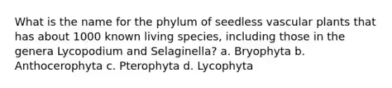 What is the name for the phylum of seedless <a href='https://www.questionai.com/knowledge/kbaUXKuBoK-vascular-plants' class='anchor-knowledge'>vascular plants</a> that has about 1000 known living species, including those in the genera Lycopodium and Selaginella? a. Bryophyta b. Anthocerophyta c. Pterophyta d. Lycophyta