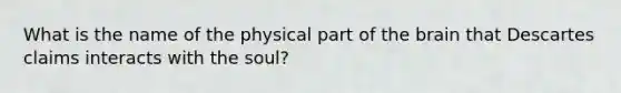 What is the name of the physical part of the brain that Descartes claims interacts with the soul?