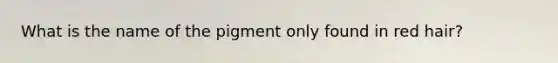 What is the name of the pigment only found in red hair?