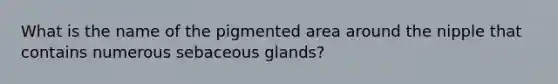 What is the name of the pigmented area around the nipple that contains numerous sebaceous glands?