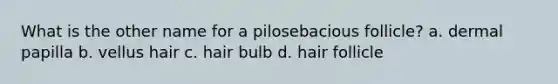 What is the other name for a pilosebacious follicle? a. dermal papilla b. vellus hair c. hair bulb d. hair follicle