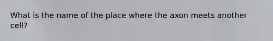 What is the name of the place where the axon meets another cell?