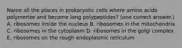 Name all the places in prokaryotic cells where amino acids polymerize and become long polypeptides? (one correct answer.) A. ribosomes inside the nucleus B. ribosomes in the mitochondria C. ribosomes in the cytoplasm D. ribosomes in the golgi complex E. ribosomes on the rough endoplasmic reticulum