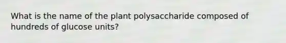 What is the name of the plant polysaccharide composed of hundreds of glucose units?