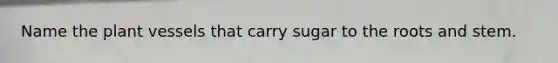 Name the plant vessels that carry sugar to the roots and stem.