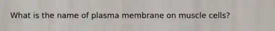 What is the name of plasma membrane on muscle cells?