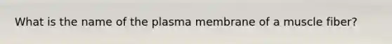 What is the name of the plasma membrane of a muscle fiber?