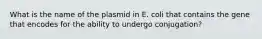 What is the name of the plasmid in E. coli that contains the gene that encodes for the ability to undergo conjugation?