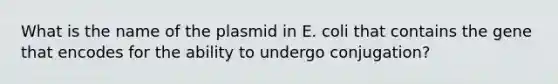 What is the name of the plasmid in E. coli that contains the gene that encodes for the ability to undergo conjugation?