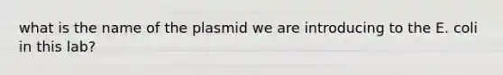 what is the name of the plasmid we are introducing to the E. coli in this lab?