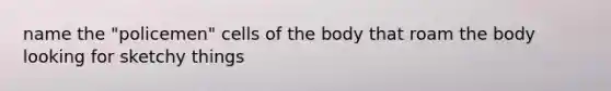 name the "policemen" cells of the body that roam the body looking for sketchy things