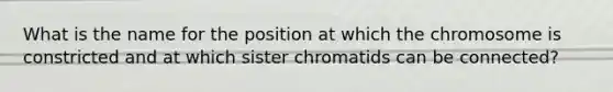 What is the name for the position at which the chromosome is constricted and at which sister chromatids can be connected?