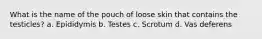What is the name of the pouch of loose skin that contains the testicles? a. Epididymis b. Testes c. Scrotum d. Vas deferens