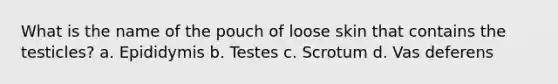 What is the name of the pouch of loose skin that contains the testicles? a. Epididymis b. Testes c. Scrotum d. Vas deferens