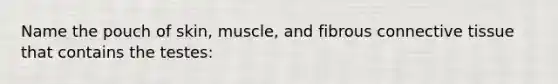 Name the pouch of skin, muscle, and fibrous <a href='https://www.questionai.com/knowledge/kYDr0DHyc8-connective-tissue' class='anchor-knowledge'>connective tissue</a> that contains the testes: