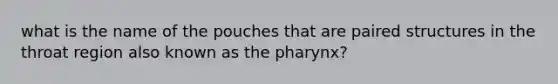 what is the name of the pouches that are paired structures in the throat region also known as the pharynx?