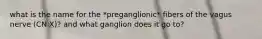 what is the name for the *preganglionic* fibers of the vagus nerve (CN X)? and what ganglion does it go to?