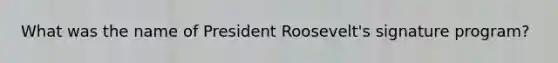 What was the name of President Roosevelt's signature program?