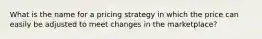 What is the name for a pricing strategy in which the price can easily be adjusted to meet changes in the marketplace?