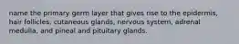 name the primary germ layer that gives rise to the epidermis, hair follicles, cutaneous glands, nervous system, adrenal medulla, and pineal and pituitary glands.