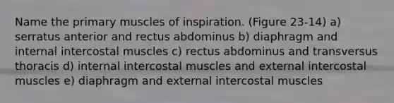 Name the primary muscles of inspiration. (Figure 23-14) a) serratus anterior and rectus abdominus b) diaphragm and internal intercostal muscles c) rectus abdominus and transversus thoracis d) internal intercostal muscles and external intercostal muscles e) diaphragm and external intercostal muscles