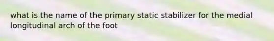 what is the name of the primary static stabilizer for the medial longitudinal arch of the foot