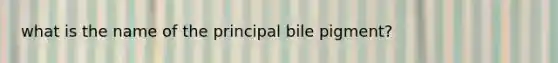 what is the name of the principal bile pigment?